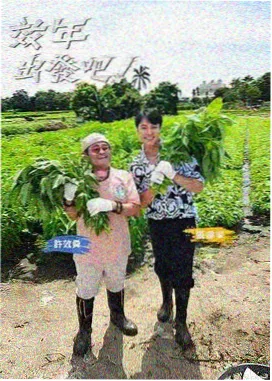 番茄厨房秀